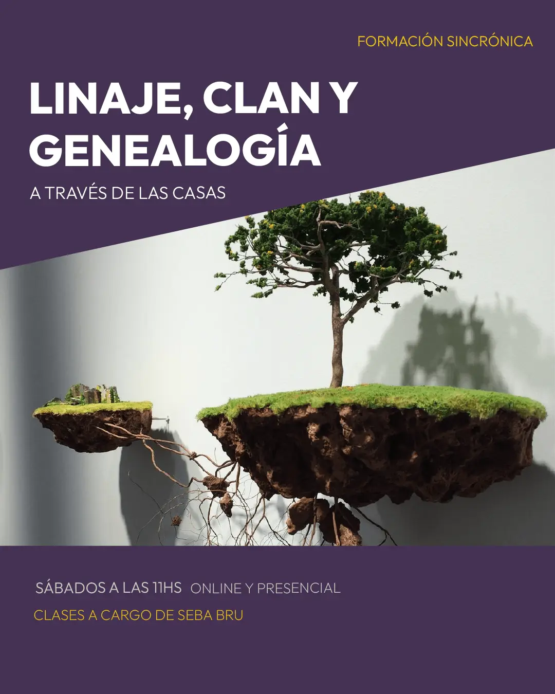 Linaje, clan y genealogía a través de las casas