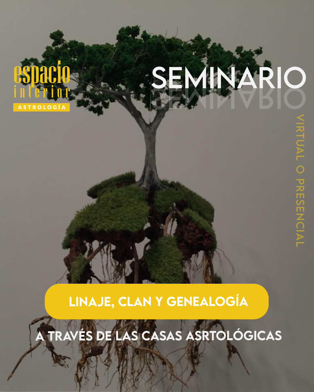 Imagen del Seminario de Linaje